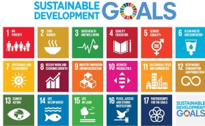Die Nachhaltigkeitsagenda der UNO ist nicht nachhaltig – Ernst Ulrich von Weizsäcker