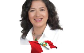 BM Genel Merkezini Yeniden Konumlandırılması: yerli halkların gözünden bir bakış – Paola Álvarez Montoya